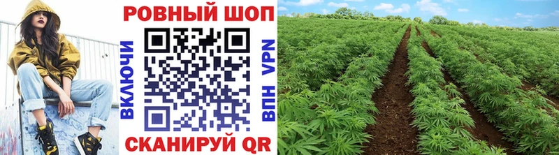 Наркошоп купить ГАШИШ  COCAIN  Меф  Александровское