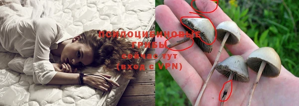 герыч Нязепетровск